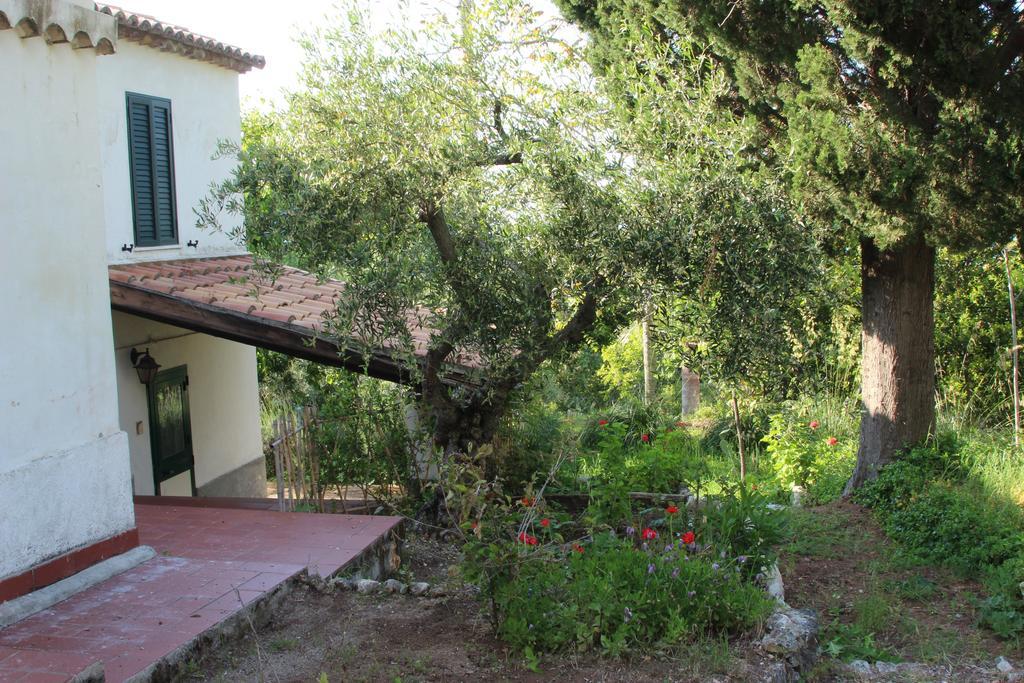 Tenuta Conte Ruggero Санта-Доменіка Номер фото